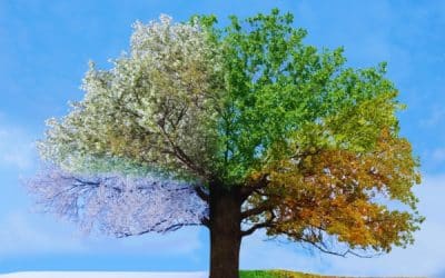 How to Overcome Seasonal Affective Disorder