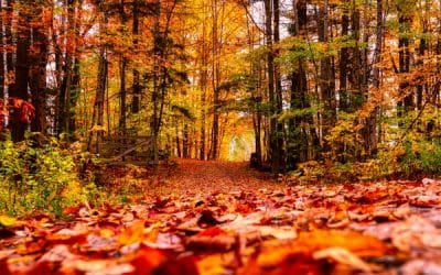 The Emotional Side of ADHD: Living with Feelings